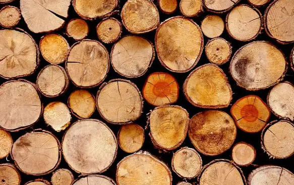 不同树种的家具木材允许拉伸形变和压缩形变不相同